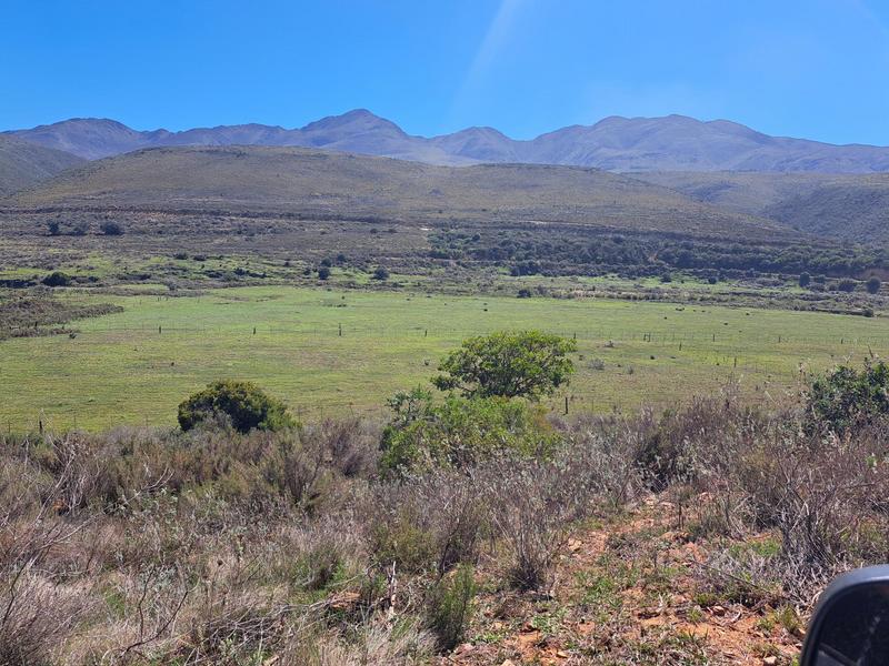 0 Bedroom Property for Sale in Kareedouw Eastern Cape